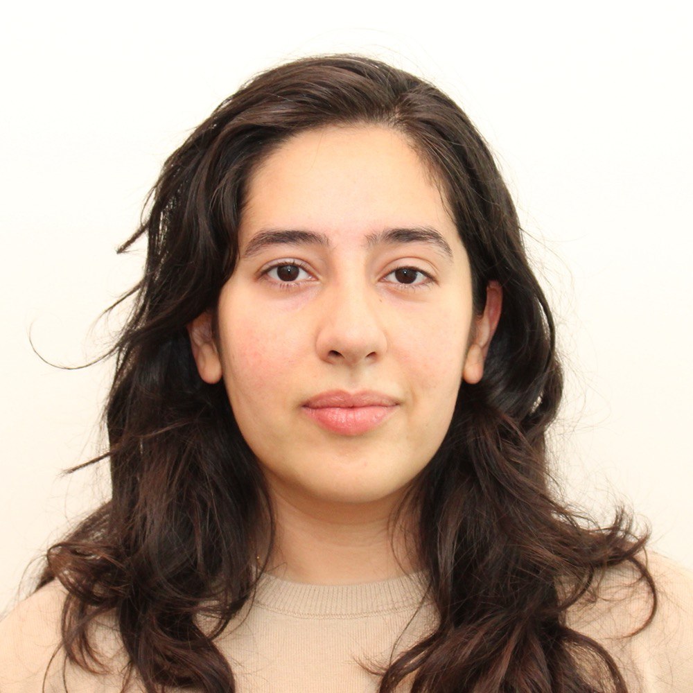 Hengameh Habibi Soufi